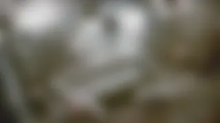 Abimiz Müzisyenlik Yapıyor Her Akşam Oturup Klarnet Çalıyor. Adamda Ne Şeytan Tüyü Var Bilmiyorum Ama Müzik İşinden İyi Ekmek Yiyor part 1