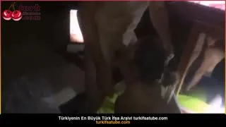 Başlık : Gavat Koca, Siktirici Kardeşini Grupla Aldattı