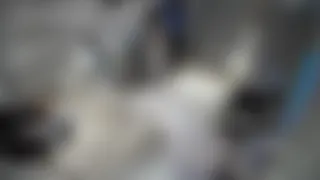 iptv den kaydedilmiş gizli kamera ifşa ve sex görüntüleripart 40