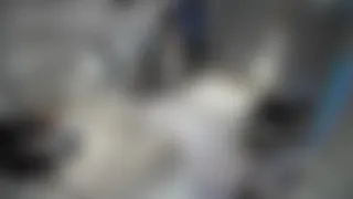 Türk Gizli İpcam, gizli kamera, ifşa ve sex görüntüleri part 16