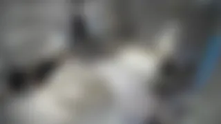 Türk Gizli İpcam, gizli kamera, ifşa ve sex görüntüleri part 17