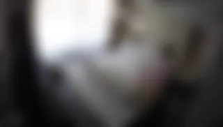 Türk Gizli İpcam, gizli kamera, ifşa ve sex görüntüleri part 53