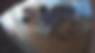 Türk Gizli ipcam görüntüleri gerçek gizli kamera görüntüleri part 3