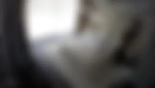 Türk Gizli İpcam, Özel Gizli kamera videoları gizli çekim part  12