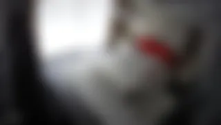 Türk Gizli İpcam, Özel Gizli kamera videoları gizli çekim part  2