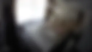 Türk Gizli İpcam, Özel Gizli kamera videoları gizli çekim part  21